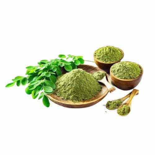 Organic Moringa Oleifera leaf powder in bowls with fresh moringa leaves, rich in antioxidants and nutrients.