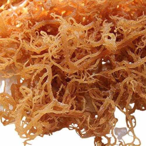 Dr. Sebi's 100% Raw Ocean Wild Harvested Sea Moss from St. Lucia, clean and sun-dried for optimal health benefits.