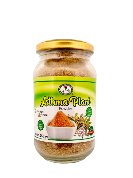 Asthma Plant Powder